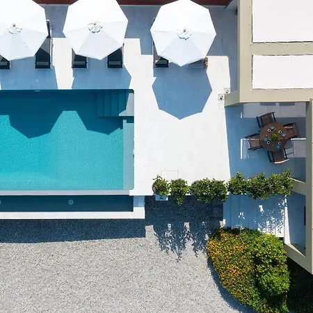 Cicada * Koskinou (Rhodes)