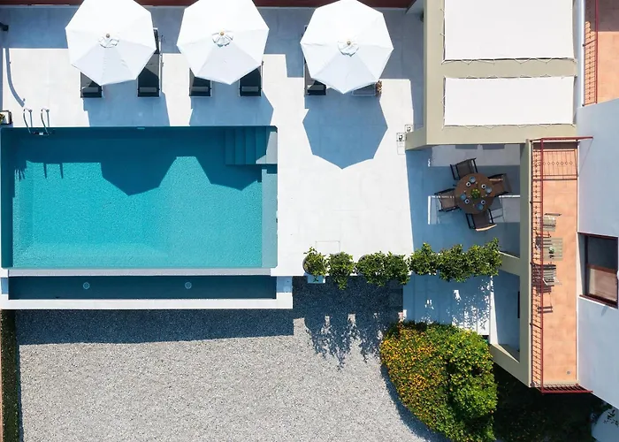 Cicada * Koskinou (Rhodes)